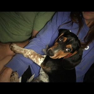 Meet your Posher, Sara